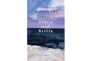 Sturm und Stille: Roman