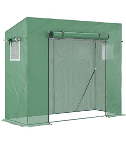 KESSER® Premium tomatenkas foliekas, broeikas klein, tomatenhuis, broeikas met deur om op te rollen - 100 x 50 x 150 cm broeibak, groenten, bloemen