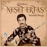 GEREKSİZ ŞEYLER Neşet Ertaş Zahidem G&ouml;n&uuml;l Dağı Plak