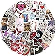 50 PCS Downtown Y2k Stickers Aesthetic, Girl Y2k Stickers, Vinyl Waterproof Sticker, for Laptop, Water Bottle, Bumper, Luggage, Skateboard - Downtown Girl Sticker Gifts