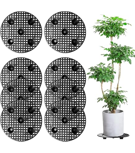 Lot De 12 Soucoupes Pour Pots De Fleurs - Noir - 20 Et 30 Cm - Drainage Aéré Et Protection Des Surfaces