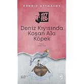 Deniz Kıyısında Koşan Ala K&ouml;pek