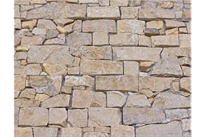 W-002 Wanddesign Naturstein Verblender Travertin Steinwand Klinker Wandverkleidung - 1 Muster - Fliesen Lager Verkauf Stein-MosaikHerne NRW