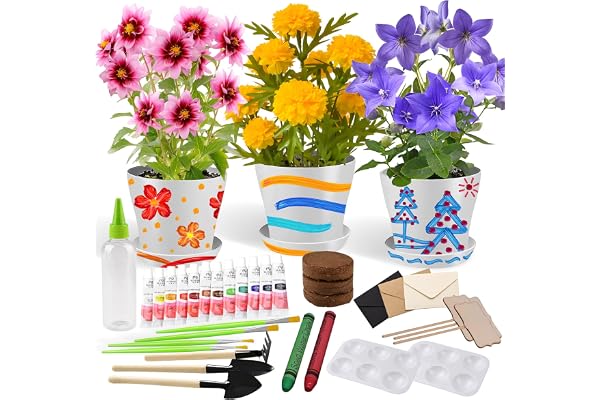 Kit de Jardinage pour Enfants Peinture Plantation Jouet de Jardin Fleurs pour Filles Garçons Cadeau Pots de Fleurs Artisanat Set Jardinage et Plantation pour Enfants de 4 5 6 7 8 9 10 11 12 13 14 Ans