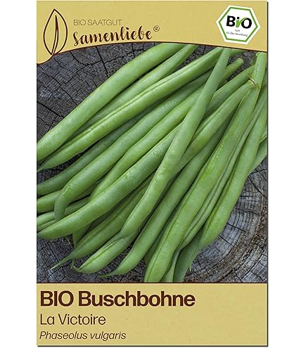 Steirische Kferbohne Samen Bonela Bohnensamen Schwarz Lilla Bohnen ca 25  Korn Saatgut Gemse Garten Hochbeet Kbel Drr Samen : Amazon.de: Garten