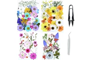 Cayway 4 Pacco Fiori Secchi per Resina Naturali Pressati Fiori Pressati Secchi, Fiori Secchi Fiori Pressati Secchi Naturali per Candele Fai Da Te Gioielli Resina Partecipazion, Stile A