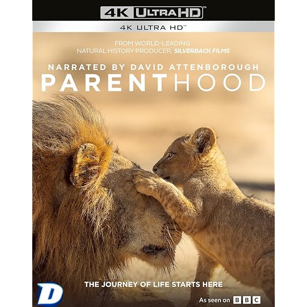 Incredible Human Journey [DVD] [Region 1] [US Import] [NTSC