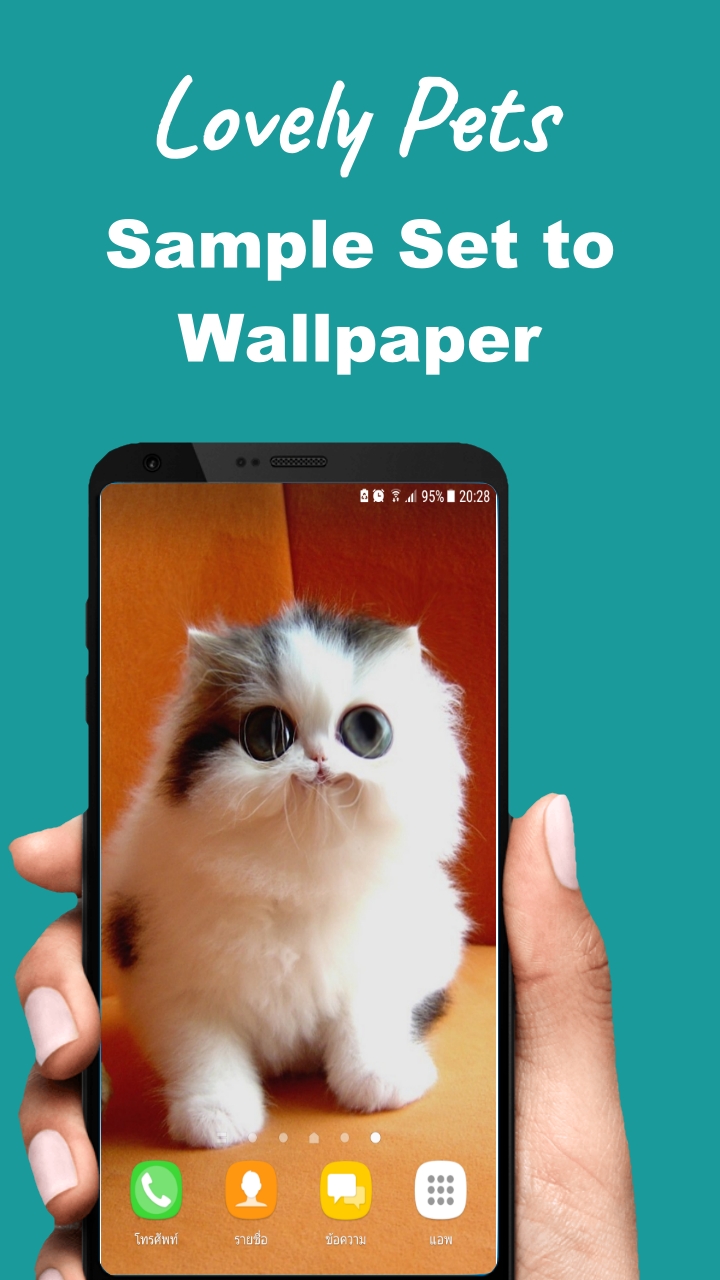 Fond D Ecran Animaux Mignon Amazon Fr Appstore Pour Android