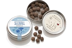 SEEDBALL Cornflower Seed Bombs (Wild Flower Tin) – 20 Seed Balls Per Pack | British Wildflower Seeds - Beautiful Blue Cornflower Seeds | Seed Bomb for Bees, Butterflies, Birds & Garden Wildlife