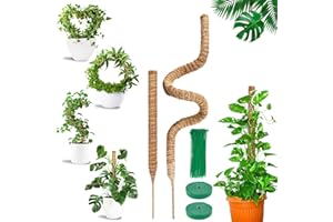 COZCLAM Palo di Muschio, 160cm & 60cm Tutore Piante, Palo in Fibra di Cocco per Piante Rampicanti, Pieghevoli Supporti per Piante, Supporto per Monstera per Piante Rampicanti che Crescono Verso l'alto