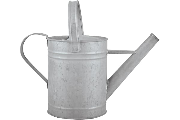 Fallen Fruits Vieux Zinc Arrosoir 1,5 L