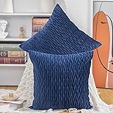 Madizz 2 Pezzi Federe in Velluto Copricuscini Morbido Decorativo Fodere per Cuscino Lusso Stile per Divano Camera da Letto Bl