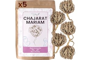 VIRHEA Rose de Jericho, Chajarat Mariam x5 - Format S - Plante Favorisant la Fertilité - Anastatica Hierochuntica [Satisfait ou Remboursé]