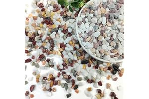 SHIZWU Garden Stones, Gravel for Garden, Plant Pots, Fish Tank, Aquarium, Landscaping, Vase Fillers, Christmas Cactus and Succulents (6-9mm, 1.8kg)