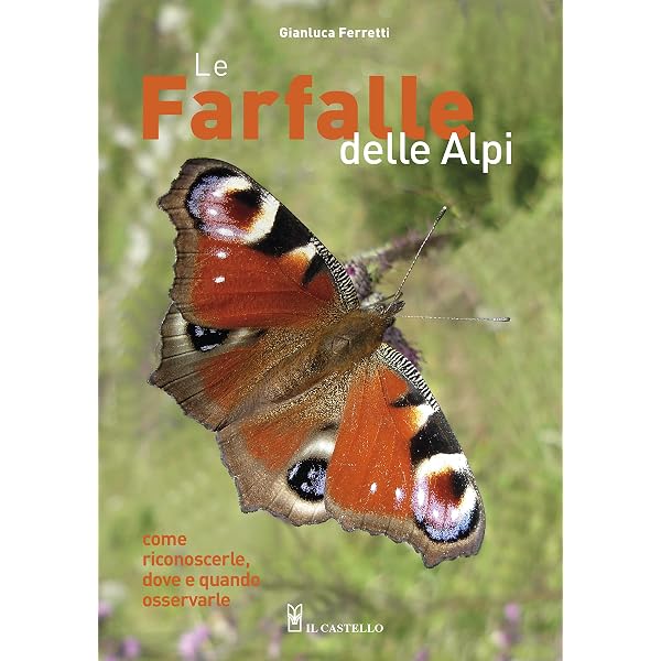 Cortesie per gli ospiti - guarda la serie in streaming