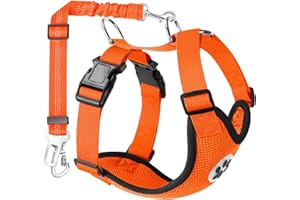 SlowTon Ensemble de Harnais et Laisse, Multifonction Tissu Réglable Respirant Gilet Ordinaire Harnais avec Ceinture De Sécurité en Voiture Route Voyage Promenade