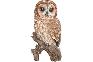Vivid Arts Real Life Waldkauz Kunstharz Gartendeko (Größe B)