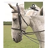 Shires Nylon Harbridge Training Aid Amazon Co Uk Pet Supplies