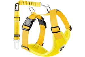 SlowTon Ensemble de Harnais et Laisse de sécurité de Voiture, imbracatura per animali domestici Con Cintura di sicurezza per Viaggio e USO quotidiano Cinghia elastica regolabile e Gilet