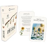 Amb Calma (Cartes, Capsa Amb 30 Cartes - No Llibre): 1