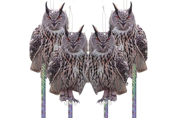 Homo Trends Effaroucheur Oiseaux Anti Pigeon pour Balcon, Repulsif Pigeon, Effaroucheur Pigeons Balcon, Corbeau Anti-Pigeon, Hibou Anti Pigeons, Epouvantail Balcon Jardin 4 Pièces Carton