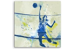 Paul Sinus Art Volleyball 60x60cm SPORTBILDER Splash Art Wandbild Aquarell Art
