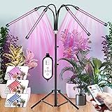 CXhome LED Pflanzenlampe Mit Ständer,15.7-43.3 Zoll,4-in-1 Stehleuchte-Rot/Blau, RF Controller&Zeilengesteuerte Timing 4/8/12