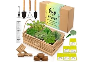 Kiwavi Mini Huerto Urbano para Interior - Kit de Cultivo de Plantas Aromáticas y Culinarias (Albahaca, Perejil, Cilantro, Hierbabuena, Eneldo, Tomillo) | Huerto en Casa con Semillas