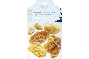 Hydrea London Kit d'éponges naturelles pour peinture d'artistes - Texture fine à large - Ensemble d'éponges de mer pour art et artisanat, peinture, céramique, poterie, décoration, éponge, beaux-arts