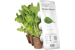 Click & Grow 3-pack de recharge pour Smart Herb Garden Green Sorrel