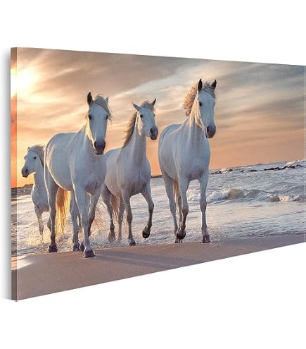 Tableau Toile - Frison Au Galop - 70x50 Cm - Impression D'Art Haute Qualité, Cadre 2 Cm, Décoration Cheval, Nature