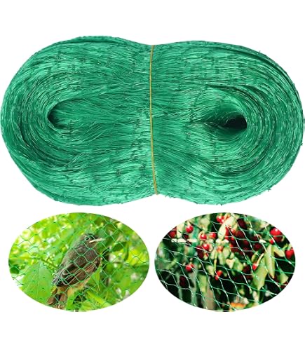 Filet Anti-Oiseaux 8x10 M - Protection Jardin Et Potager - Vert - Polypropylène Résistant
