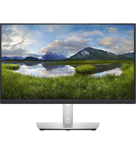 Dell SE2225HM 21.5