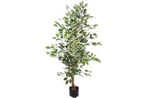 Leaf LEAF-7370 Árbol de ficus Verde Variado, 130 cm, Borde Blanco