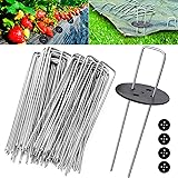 Wokkol Erdnägel, Erdanker Edelstahl, Erdanker Bodenanker, Heringe für Zelt, Erdanker 2,5 mm Durchmesser, 15 cm Lang; 2,5 cm B