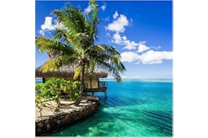 Wallario Magnetfolie für Kühlschrank/Geschirrspüler, magnetisch haftend - 60 x 60 cm, Motiv: Karibisches Meer  Einsame Hütte unter Palmen