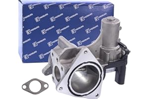 Pierburg 7.00823.06.0 EGR Valve