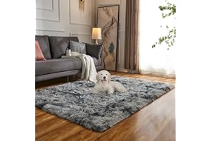 Evitany Fluffy Area Rugs, Non Slip Bedroom Rugs, BedsideRugs,Shaggy Rectangular Rugs, Washable Rugs Living Room,High Pile Rugs for Dining Room (Dark Grey,80x120 cm)