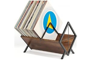 CASDUCT Förvaring För Vinylskivor, Skivställ För 80-100 LP-Skivor, 40 * 30 * 30 cm, Vinylhylla I 1 Nivå Med Halkfri Avdelarklämma, Organisatör För CD-Skivor, Album, Tidskrifter, Böcker