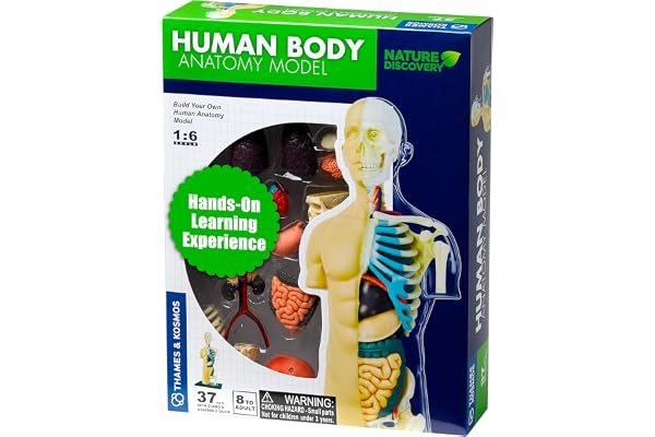 Thames & Kosmos , 260830 , Human Body Anatomy Model , 37 Parts with Stand and Guide Book , Build Your Own Human Body , Nature Discovery Range , Ages 8+