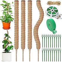 Kit De Soportes Para Plantas Trepadoras Mizikuu - 50 Varillas De Bambú De 38cm, Correas Y Cinta De Jardinería