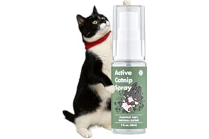 JAYU PET Active Catnip Spray - High Potency Transparent Liquid Spray made of Fresh Catnip for Indoor Cats and Kittens, Relieves Stress, Calming, Revives Toys (1fl oz) (Catnip Spray, 1fl oz)