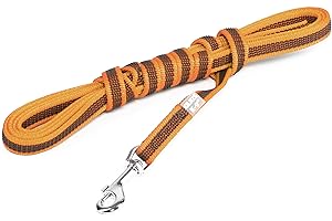 JULIUS-K9 Correa IDC Color & Gray sin asa, 14 mm x 3 m, Naranja-Gris