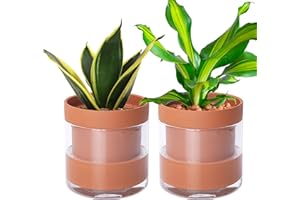 Phoenix Vine 6 Inch Self Watering Planter Pot, Terracotta Clay Pot with Glass Reservoir for Indoor Plants, Herbs, Flowers, Set of 2, 52-A-F-2