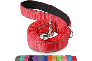 Joytale Correa para Perro Reflectante de Doble Cara, Correa para Perros con Mango Acolchado, Correa de Adiestramiento para Perros Pequeños y Perrito, 180×2cm, Rojo