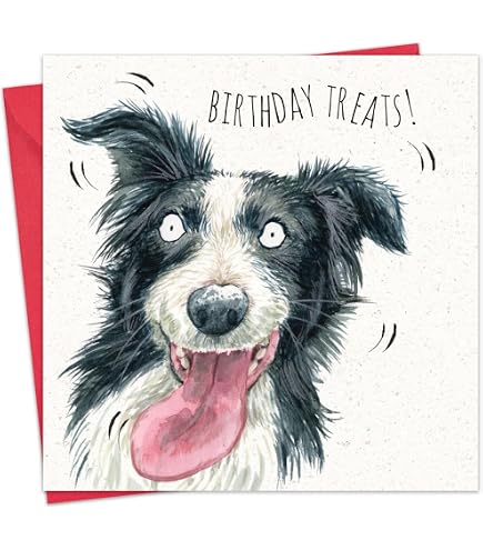 Old English Co. Aquarell-Hundekarte – Border Collie, 15x15 Cm, Blanko Innen, Für Hundeliebhaber