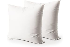 EDOW Throw Pillow Insert, Set of 2 Down Alternative Polyester Square Form Decorative Pillow, Cushion,Sham Stuffer. (White, 28x28)