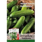 Patika Botanik-150 Adet &Ccedil;engelk&ouml;y Salatalık Tohumu