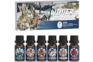 SoulOrigin Winter ätherische Öle Set, Duft Öl Geschenk Set für Öl Diffuser, duftende Öle für Seife 6x10ml Wald Kiefer, gewürzter Apfelwein, Zimt, Minze heiße Schokolade, Lebkuchen und Cranberry