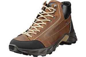 IGI&CO Uomo Sting GTX, Botas Cortas al Tobillo Hombre, marrón, 41 EU